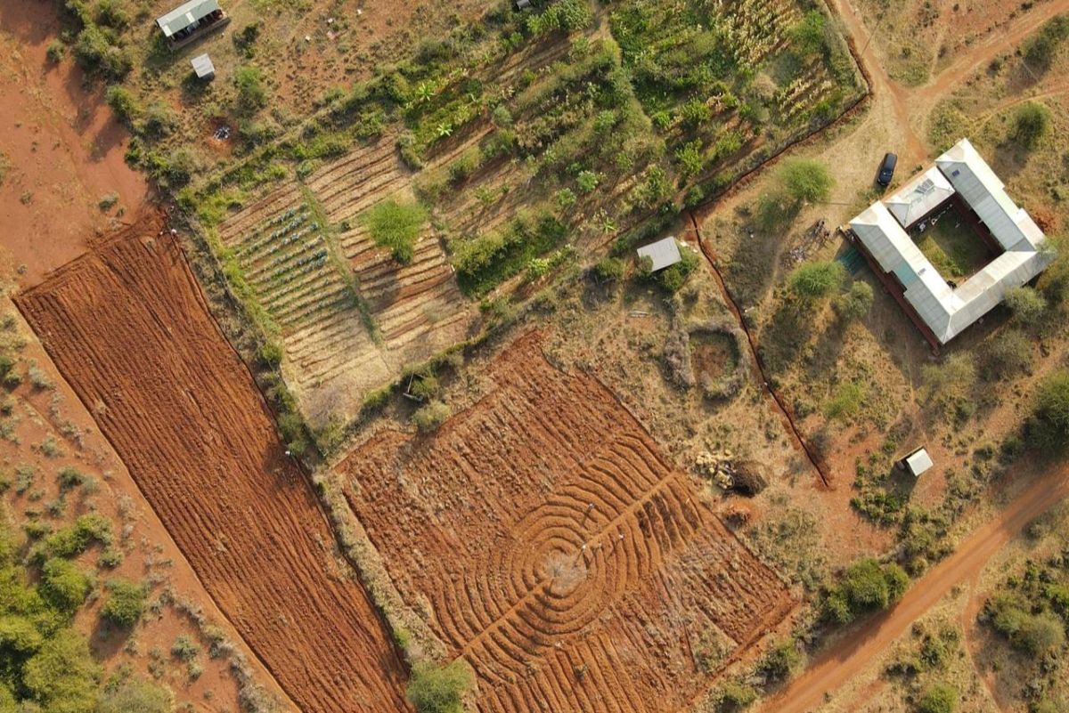 Thiong'o Gachie's SUGI training farm.jpg
